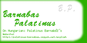 barnabas palatinus business card